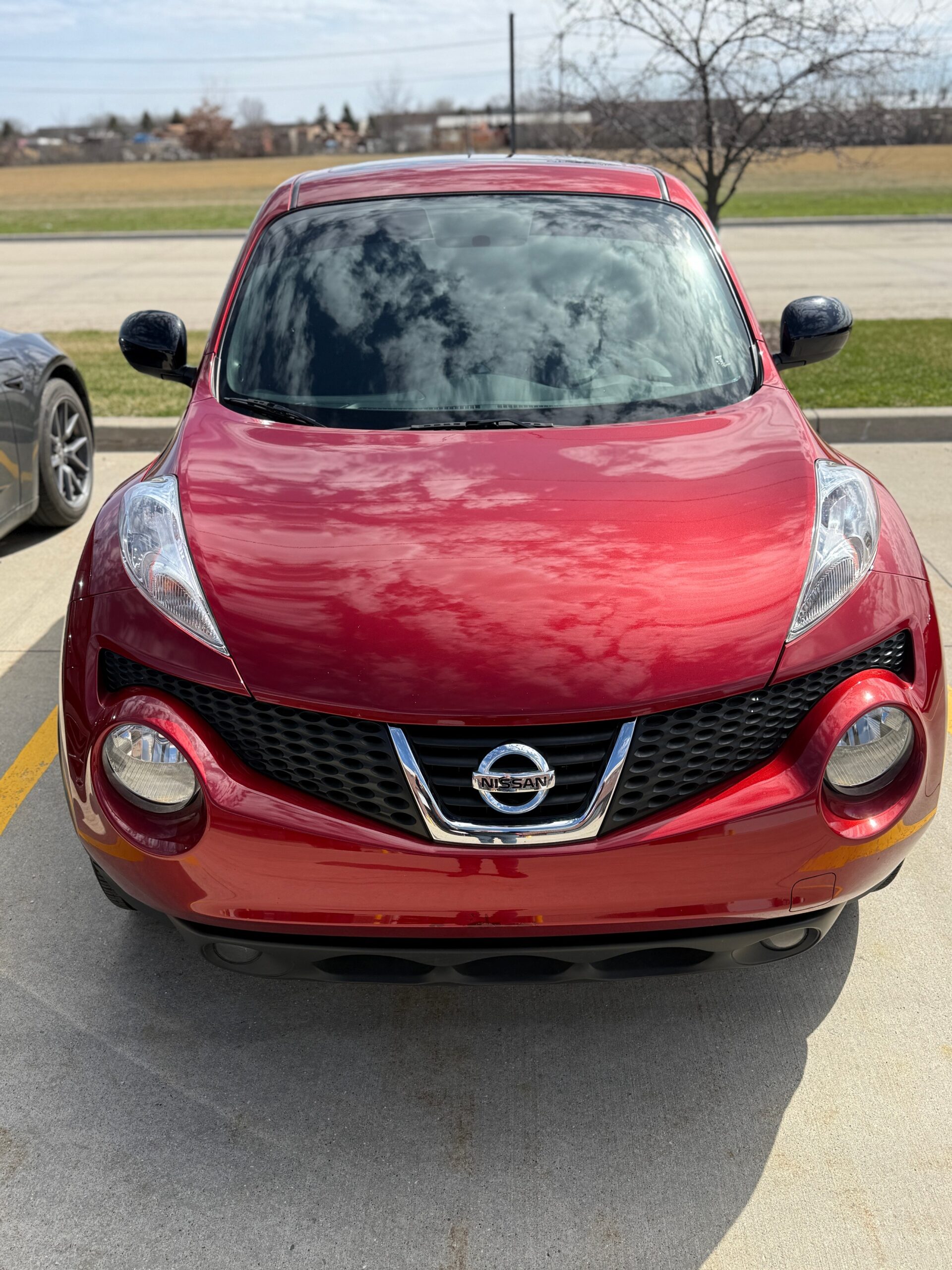 Paint Correction 8 Paint Correction 8
