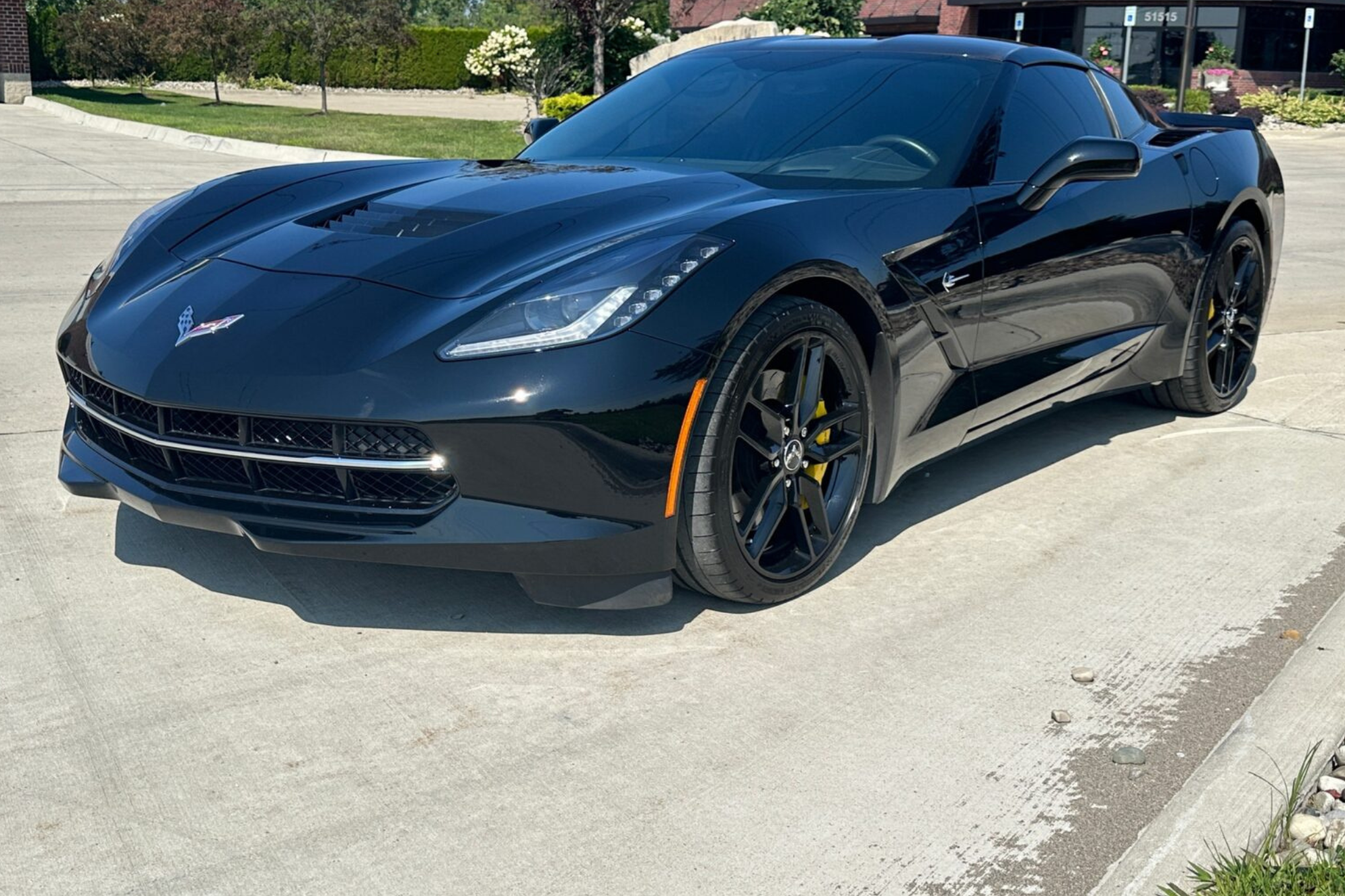paint protection film