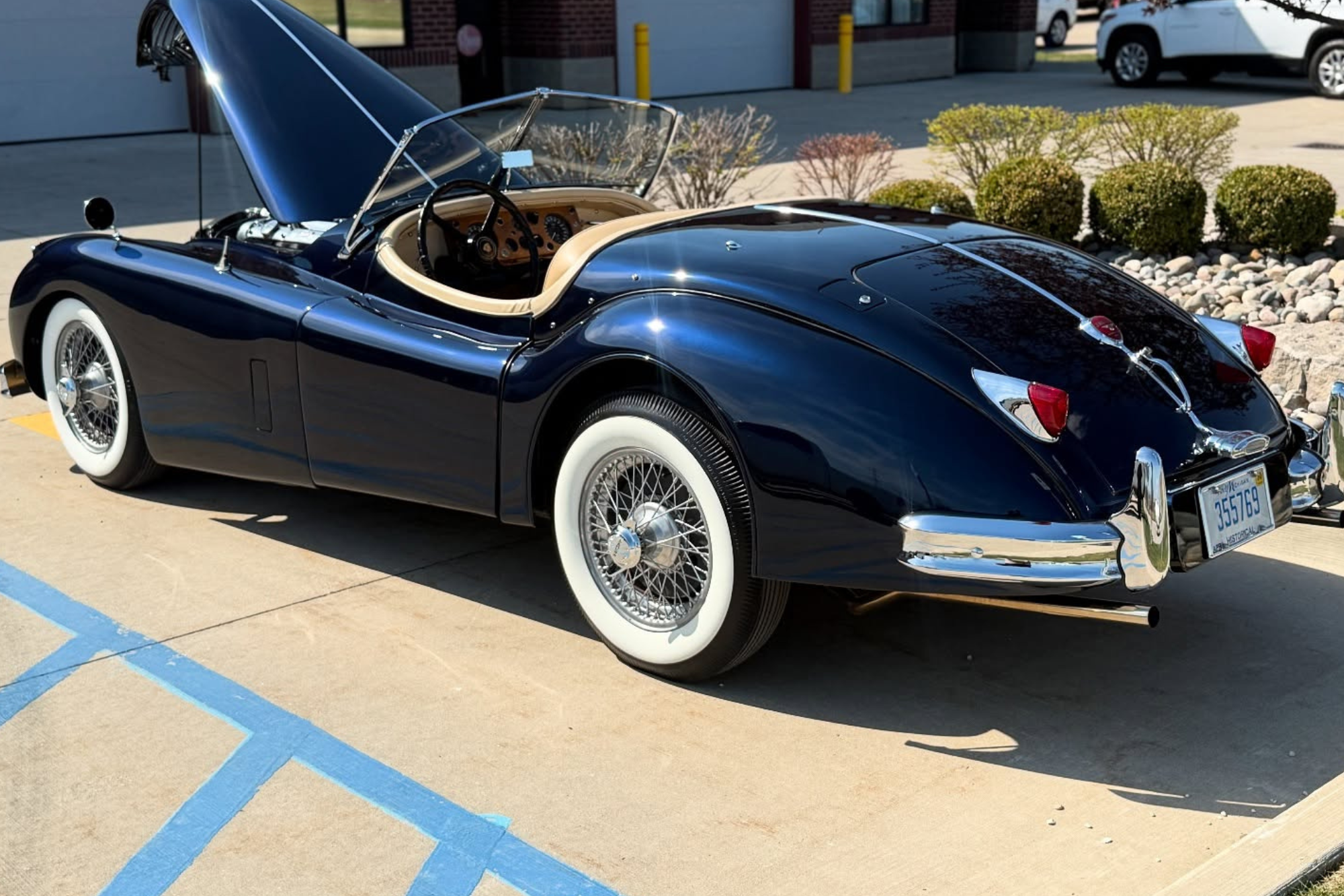 paint correction services