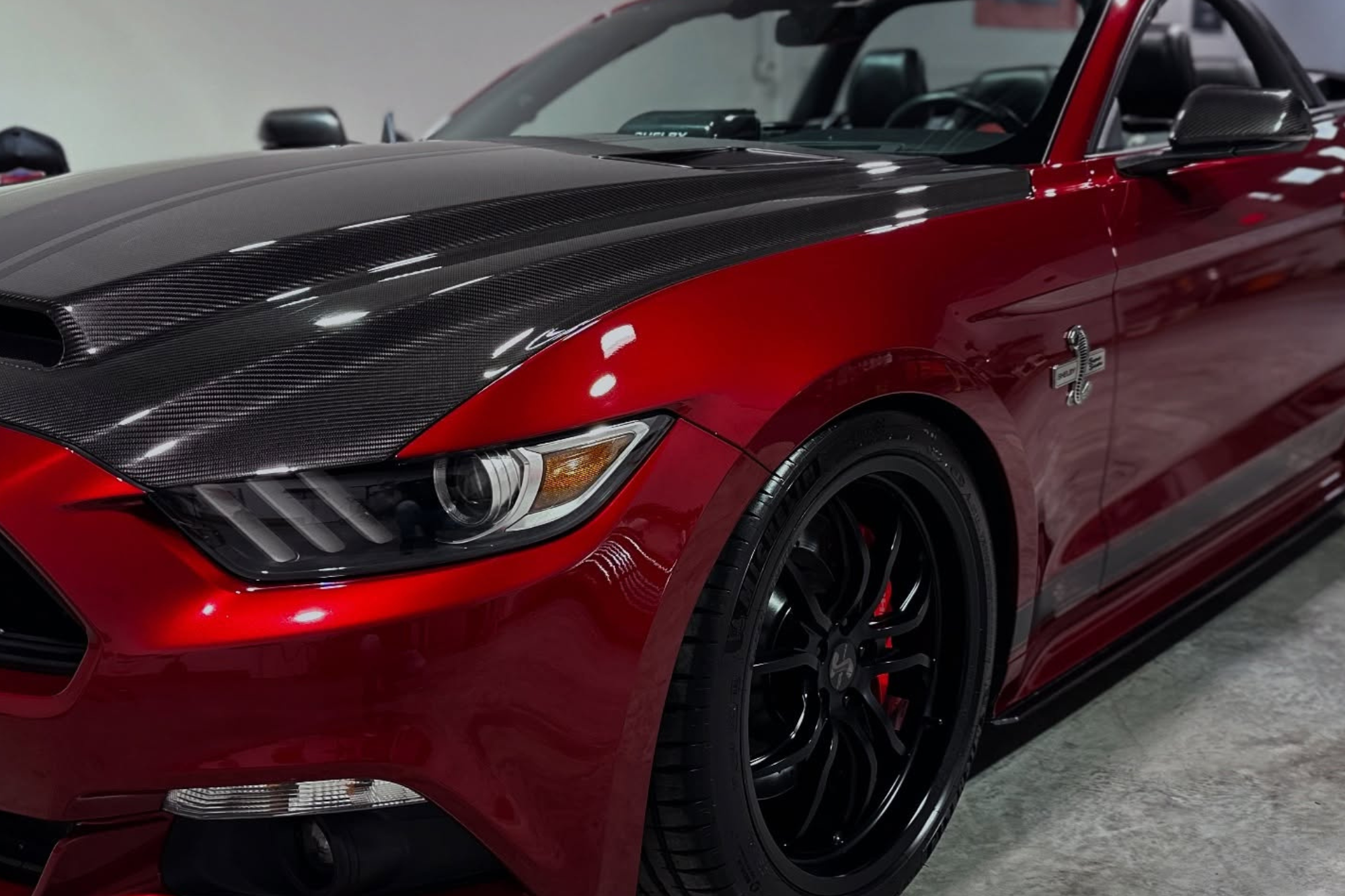 paint correction bloomfield mi