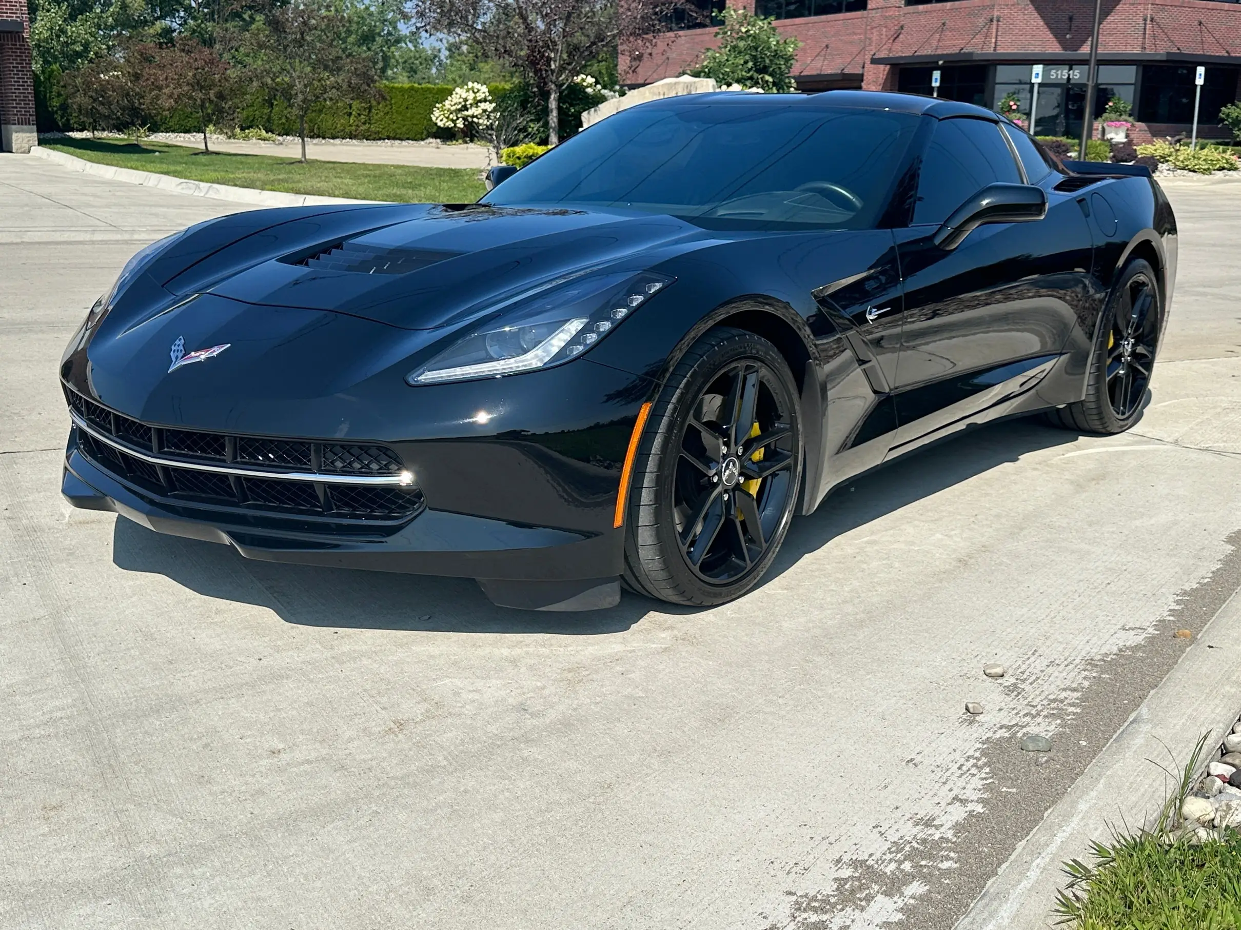 Paint Protection Film Services in Bloomfield, MI